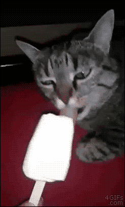 Acid Gifdump, October 26, 2016 (25 gifs)