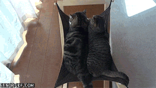 Acid Gifdump, October 26, 2016 (25 gifs)
