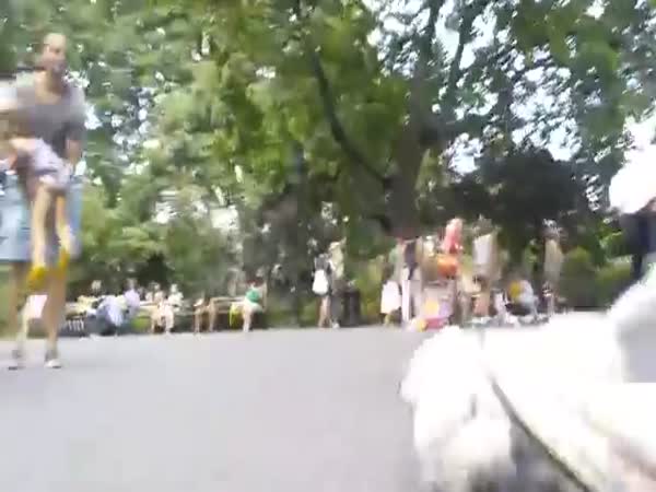 Puppet Dog Runs Around Park