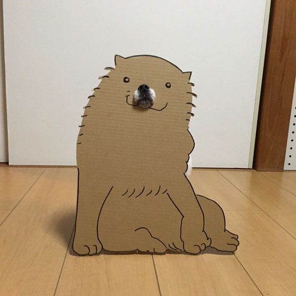 Japanese Woman Uses Her Dog To Create Hilarious Cardbord Cutouts (25 pics)