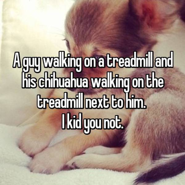 Strange Things People Saw While They Were At The Gym (21 pics)