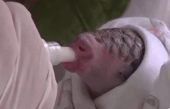 Baby Pangolins Are Undeniably Cute (30 pics)