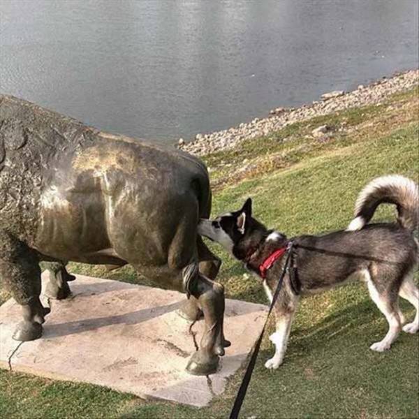 A Bit Of Lowbrow Humor That Will Add Some Laughter To Your Day (34 pics)