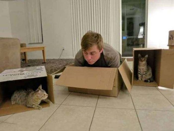 Acid Picdump (100 pics)