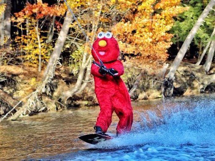 Acid Picdump (100 pics)