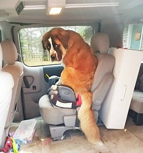 Acid Picdump (100 pics)