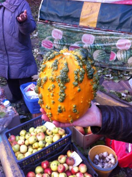 Acid Picdump (100 pics)