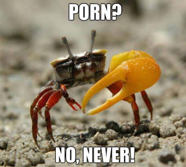Acid Picdump (100 pics)