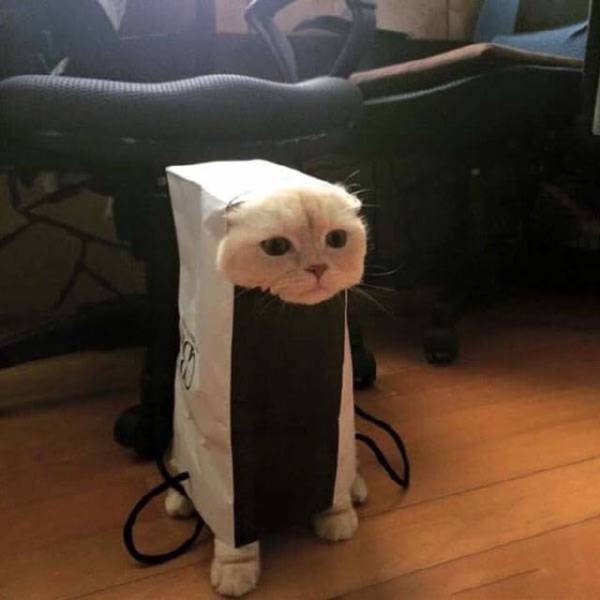 Acid Picdump (100 pics)
