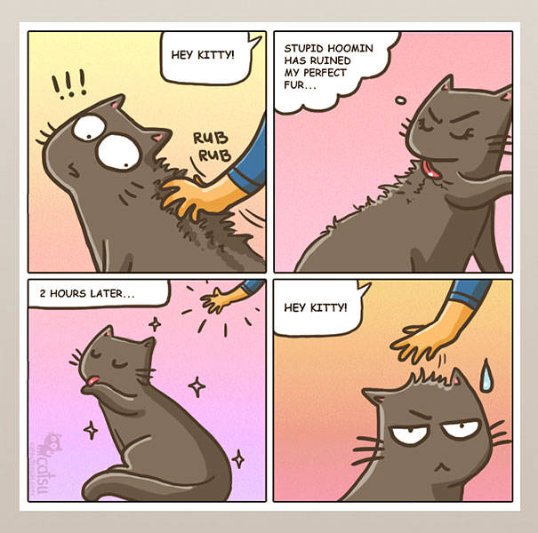 Amusing Comics About What Life Is Like When You Live With A Cat (60 pics)