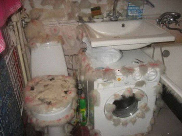 Russia Is The WTF Capital Of The World (38 pics)