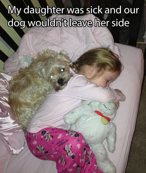 The Level Of Awesomeness Has Reached An All Time High (53 pics)