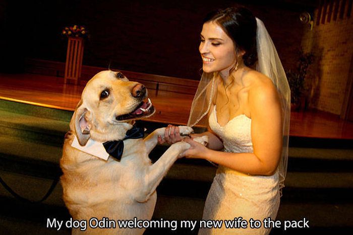 The Level Of Awesomeness Has Reached An All Time High (53 pics)