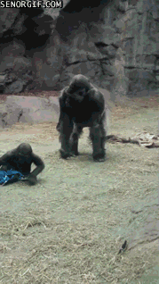 Acid Gifdump, November 02, 2016 (25 gifs)