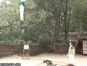 Acid Gifdump, November 02, 2016 (25 gifs)