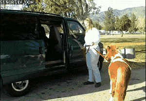 Acid Gifdump, November 02, 2016 (25 gifs)
