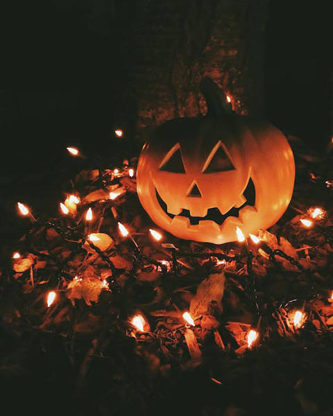 An Awesome Collection Of Halloween Costumes And Halloween Themed Pics (42 pics)