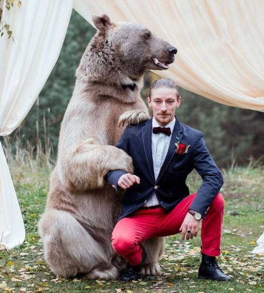 Just An Ordinary Wedding In Russia (11 pics)
