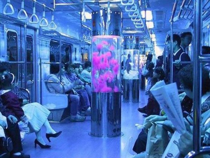Acid Picdump (103 pics)