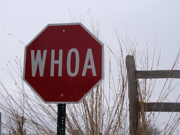 Acid Picdump (103 pics)