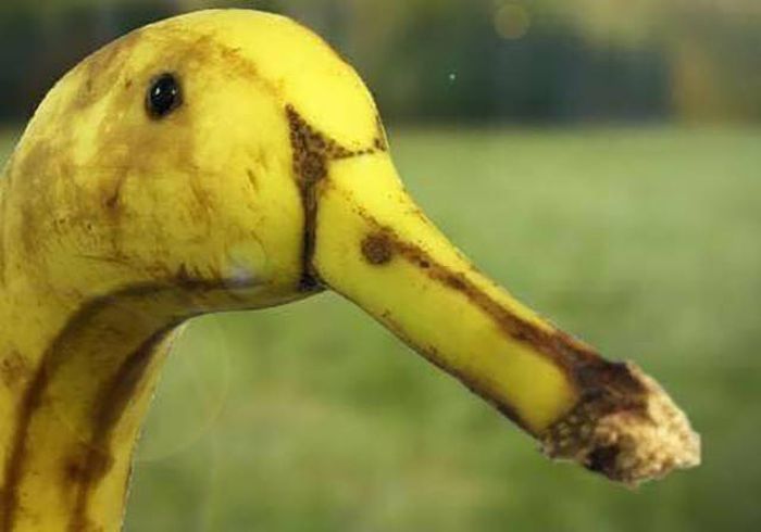 Acid Picdump (103 pics)