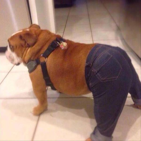 Acid Picdump (103 pics)