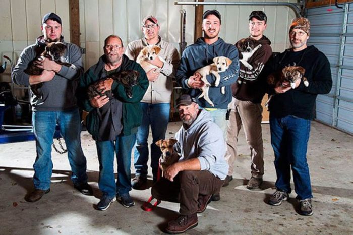 Good Guys Find Stray Dogs At Bachelor Party (9 pics)