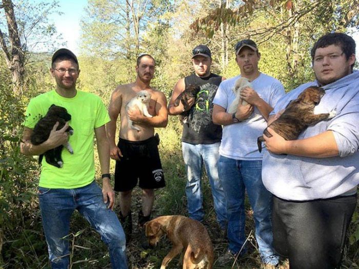 Good Guys Find Stray Dogs At Bachelor Party (9 pics)
