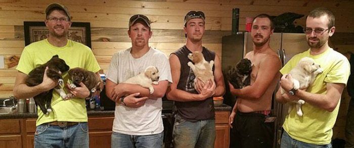 Good Guys Find Stray Dogs At Bachelor Party (9 pics)