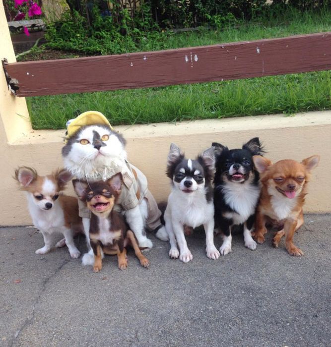 A Few Simple Photos To Remind You That Life Is Beautiful (21 pics)