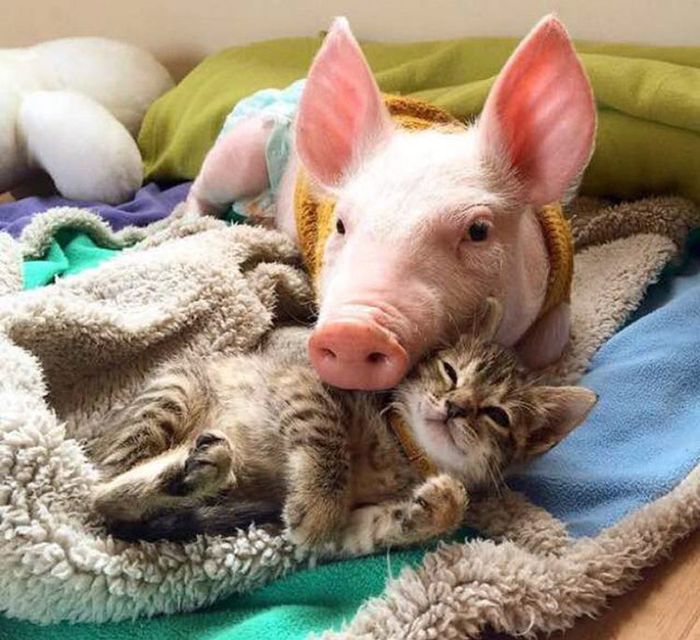 A Few Simple Photos To Remind You That Life Is Beautiful (21 pics)