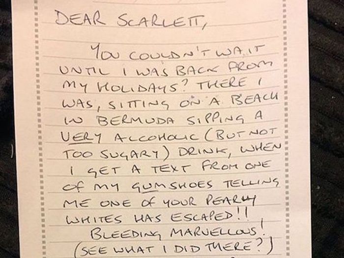 Dad Pens Adorable Letter From The Tooth Fairy To His Daughter (2 pics)