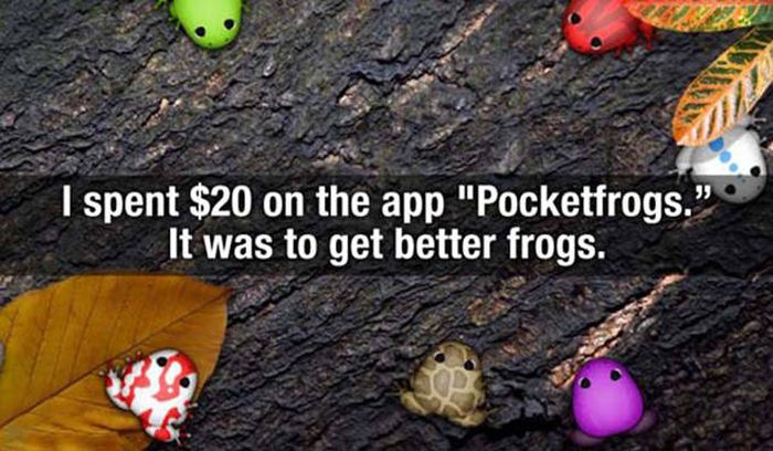 People Reveal The Dumbest Items They’ve Ever Bought (29 pics)