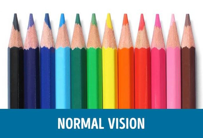How People With Different Types Of Color Blindness See The World (11 pics)