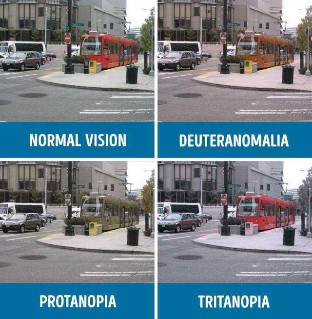 How People With Different Types Of Color Blindness See The World (11 pics)