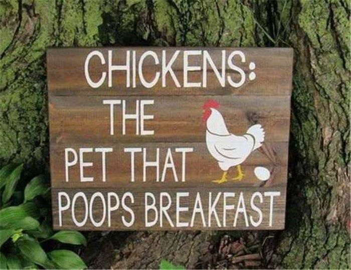 Acid Picdump (96 pics)