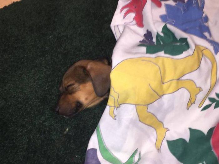 Acid Picdump (96 pics)