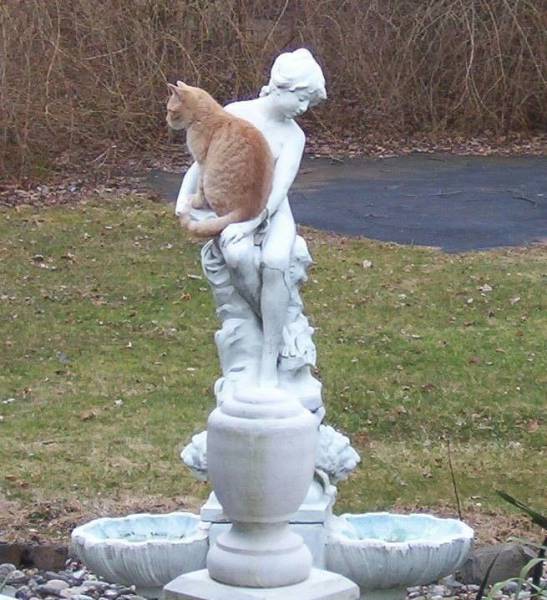 Acid Picdump (96 pics)