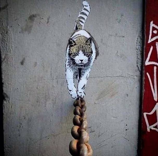 Acid Picdump (96 pics)