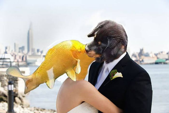 Photo Of A Puppy Kissing A Koi Fish Ignites A Photoshop Battle (19 pics)