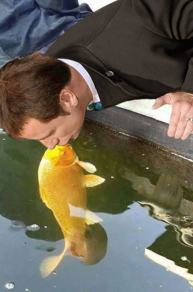 Photo Of A Puppy Kissing A Koi Fish Ignites A Photoshop Battle (19 pics)