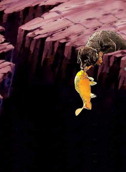 Photo Of A Puppy Kissing A Koi Fish Ignites A Photoshop Battle (19 pics)