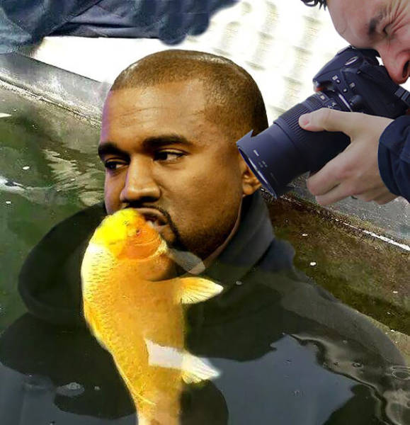 Photo Of A Puppy Kissing A Koi Fish Ignites A Photoshop Battle (19 pics)