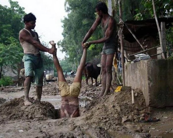This World Is Full Of Far Too Many Idiots (48 pics)