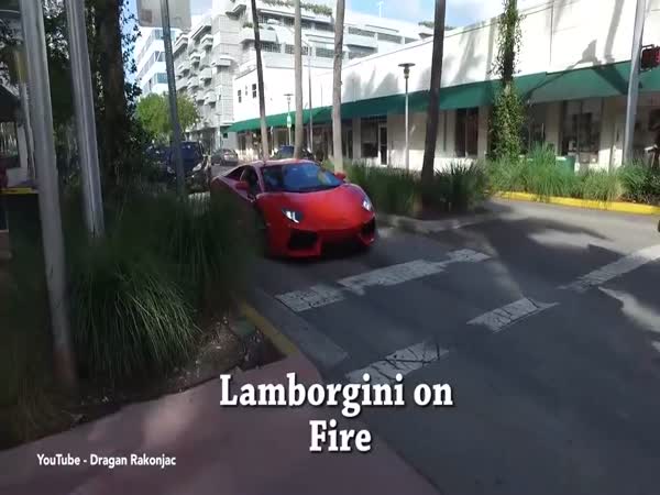 Lamborghini On Fire