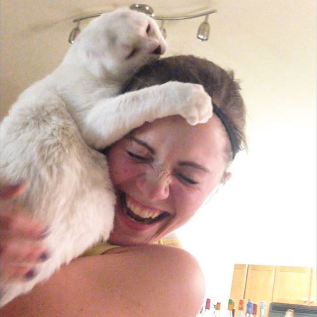 Woman Finds A New Friend In A Deaf And Earless Cat (10 pics)