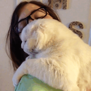 Woman Finds A New Friend In A Deaf And Earless Cat (10 pics)