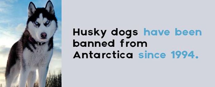 Interesting Facts That You Probably Don't Know About Antarctica (24 pics)