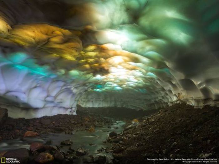 Stunning Pics From National Geographic's Nature Photographer Of The Year Contest (49 pics)