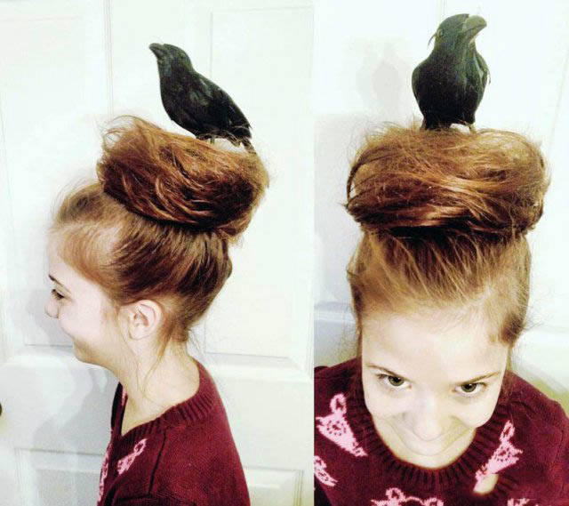 Wild And Crazy Hairdos That Probably Shouldn't Exist (46 pics)